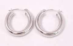 Brilliant Hoop Earrings in 14K White Gold