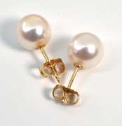 Classy Peal Stud Earrings in 14K YG