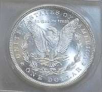 1884 Morgan Dol ICG MS-64 PQ