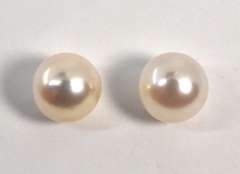 Classy Peal Stud Earrings in 14K YG