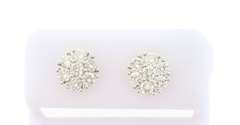 Floral Patterned Diamond Earrings with 14k Yellow Gold