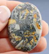 Eye catching 66ct Tabu Tabu African Painted Jasper