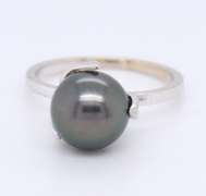 Simple 14kt WG Akoya Pearl Leaf Ring
