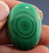 Full bullseye! 58.36ct untreated Green Malachite