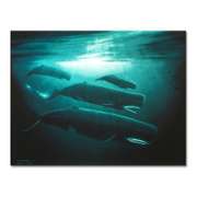 The Great Sperm Whale