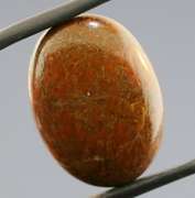 Marvelous 16.13ct cabochon cut from dinosaur bone