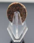 Stunning 48.78ct Brazilian Leopard Skin Jasper