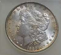 1889 Morgan Dol ICG MS-64 color