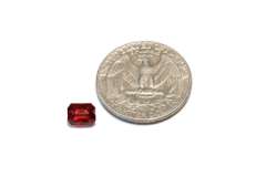 Gem Quality Natural Burmese Ruby - 1.67 cts.