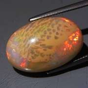 Exceptional! 14.46ct full spectrum honeycomb Opal