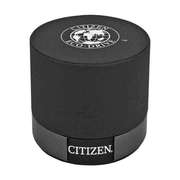 Citizen Black Dial Eco-Drive Pilots Watch