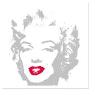 Golden Marilyn Portfolio