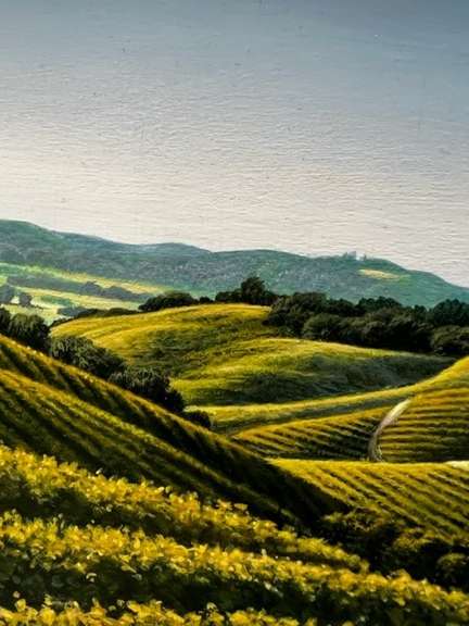 Villaggio di Vigneti (Village Vineyards)