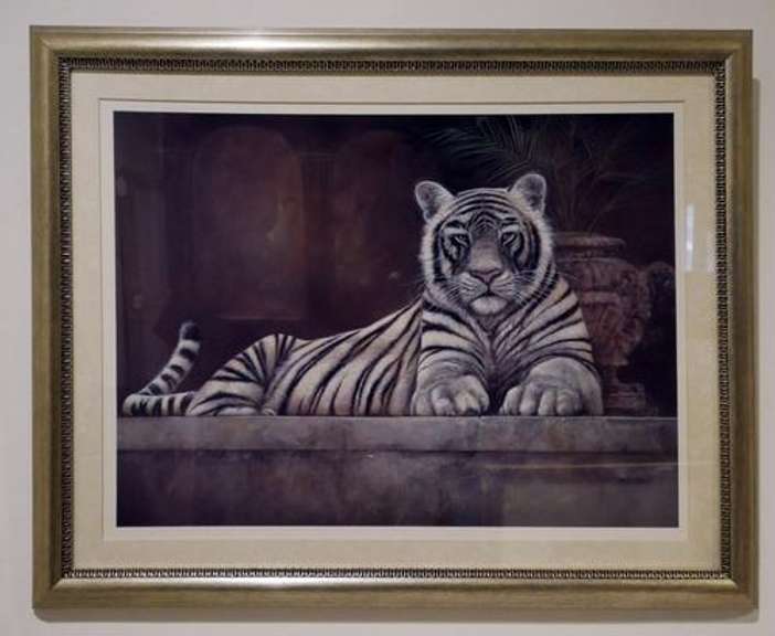 Beautiful Offset Lithograph of a White Tiger