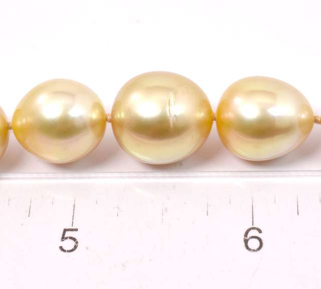 Golden South Sea Pearl Necklace, 14KT