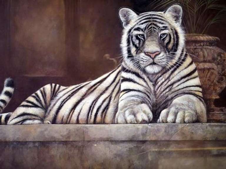 Beautiful Offset Lithograph of a White Tiger