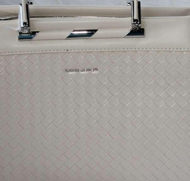 Stylish Designer Bag By David Jones-Paris