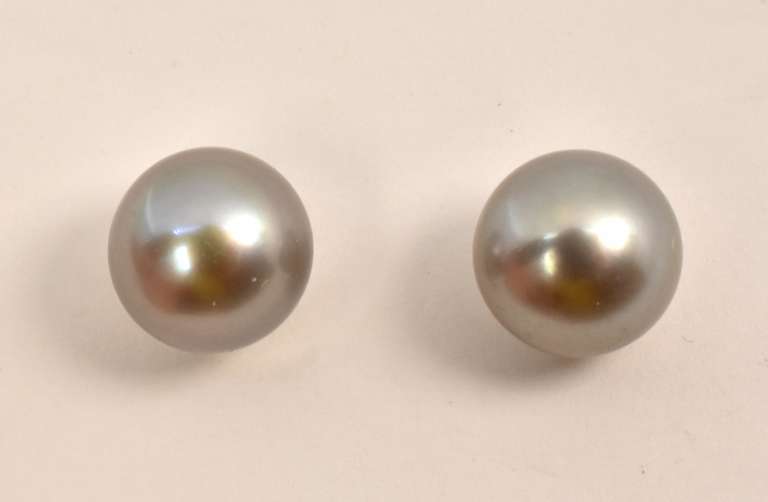 Lovely Silver Gray Pearl Stud Earrings