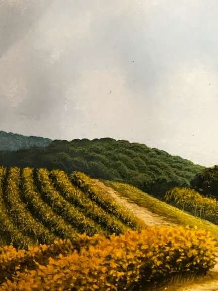 Vigneti a Santo Stefano Belbo