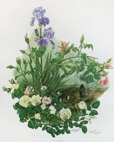 Maryrose Wampler "Iris and Old Roses" Certified Lithograph.
