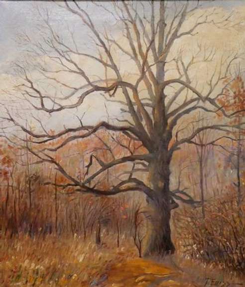 T.Foiss Fall woodland scene original oil on canvas