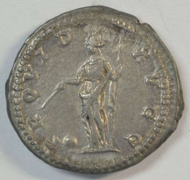 Near Mint Septimius Severus Roman Silver Denarius, 193-211