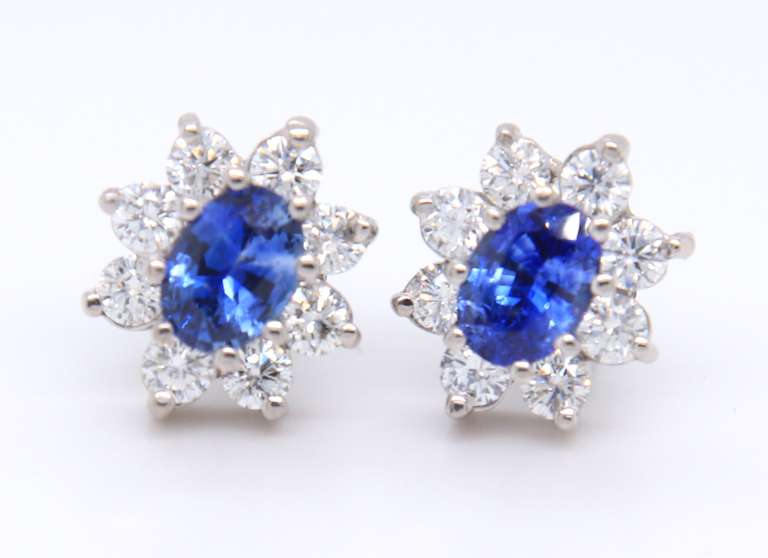 Attractive White Gold Blue Sapphire and Diamond Cluster Dangle Earrings