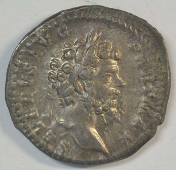 Near Mint Septimius Severus Roman Silver Denarius, 193-211