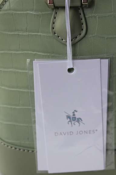 Stylish Green olor Designer Bag, David Jones, Paris
