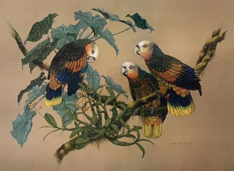 Wayne Smyth Artist's Proof Lithograph