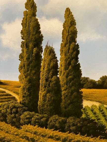 "Vigneti"Art critic L. Venturini states, “Admiring the paintings of Marco Di Nieri Marco Di Nieri "Vigneti"