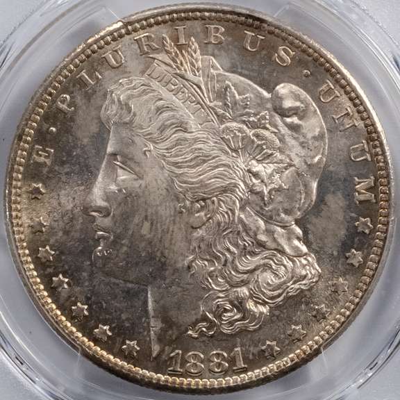 1881 S Morgan Dollar PCGS MS64