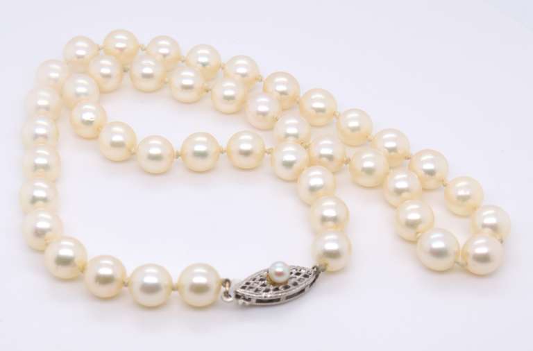 Fresh Water Pearl Necklace