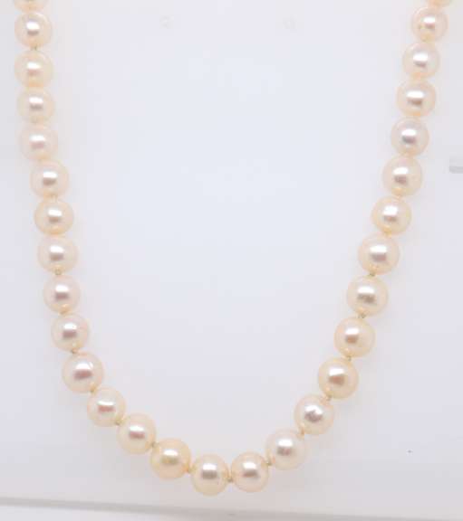Fresh Water Pearl Necklace w Gold Clasp