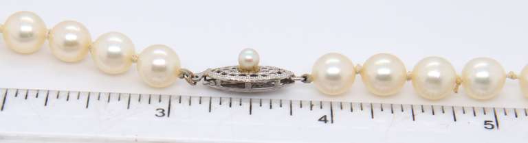 Fresh Water Pearl Necklace