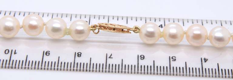 Fresh Water Pearl Necklace w Gold Clasp