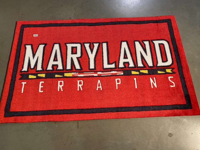 Sport Accent Rug 4x6