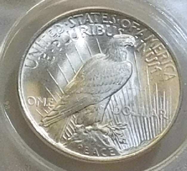 1923 Peace Dol ANACS MS-63  Georgeous!