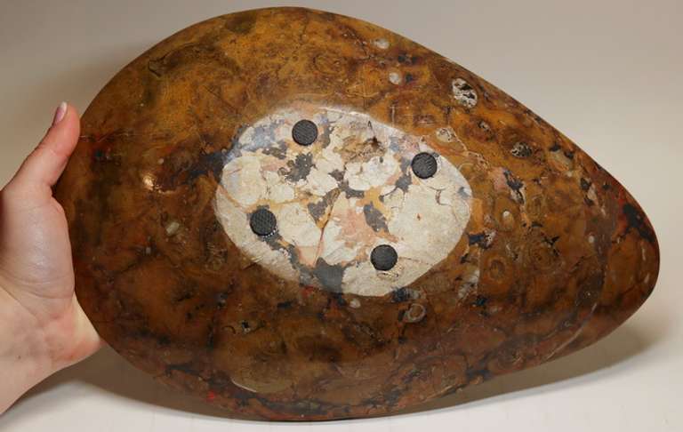 Impressive 3.36 pound Ammonite decorative bowl