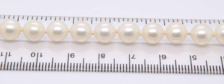 Simple Fresh Water Pearl Necklace