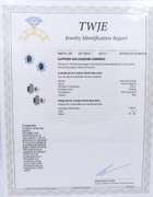 Attractive White Gold Blue Sapphire and Diamond Cluster Dangle Earrings