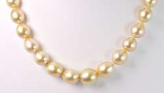 Golden South Sea Pearl Necklace, 14KT