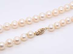 Fresh Water Pearl Necklace w Gold Clasp