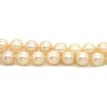 Stunning Cultured Pearl Double Strand Sapphire Flower Clasp Bracelet