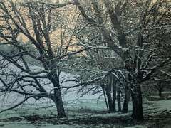 Peter Holbrook Limited Edition 72/100 Color Lithograph