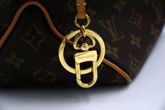 Louis Vuitton Delight PM Monogram Handbag