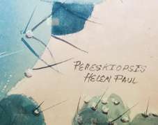 Helen Paul 'Pereskiopsis' Watercolor