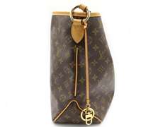 Louis Vuitton Delight PM Monogram Handbag