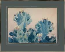 Helen Paul 'Pereskiopsis' Watercolor