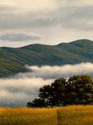 Paesaggio dei Sogni (Landscape of Dreams)